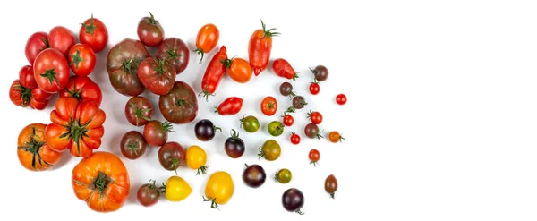 Tomatenscheibe Von Oben Gesehen Auf Weißem Hintergrund — Stockfoto