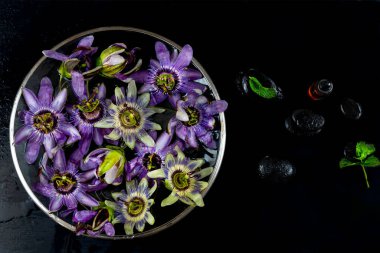 Tutku çiçekleri - Passiflora Incarnata ve Mavi Tutku çiçeği Caerulea.