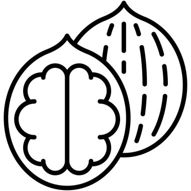 Ceviz ikonu, Hamursuz Bayramı veya Pesach ile ilgili vektör illüstrasyonu