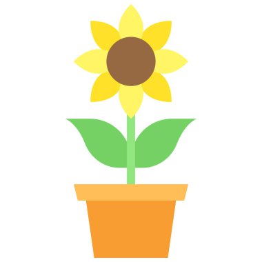 Ayçiçeği simgesi, Festa junina bağlantılı vektör illüstrasyonu