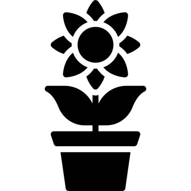 Ayçiçeği simgesi, Festa junina bağlantılı vektör illüstrasyonu