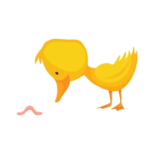 Cute chick. Baby cartoon yellow vector duck. Bird child character in funny facial expression, pose and gesture for graphic design. Catching worm — Stock Vector