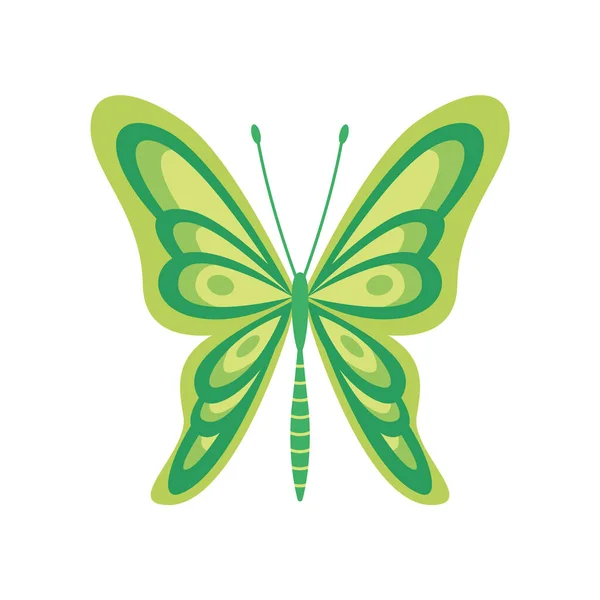 Exotische Farbe Schmetterling. Handgezeichnete Mottenflügel oder Insekten. Karikaturen tropischer Tiere. Isolierte Vektorsymbole — Stockvektor