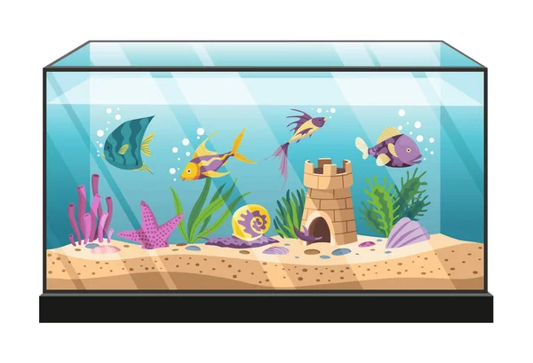 Аквариум с красочными рыбами и водорослями. Подводная жизнь с декоративными аксессуарами и почтенными рыбами в плоском стиле. Украшение интерьера дома. Красивый стеклянный аквариум с раковинами, песчаными пузырями — стоковый вектор