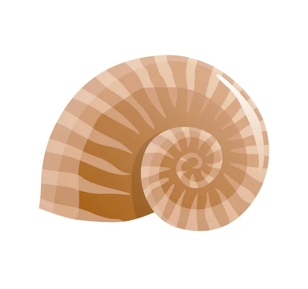 Cáscara marina. Colorida concha tropical bajo el agua icono. Dibujos animados vida marina. Seashell concepto de símbolo de verano — Archivo Imágenes Vectoriales