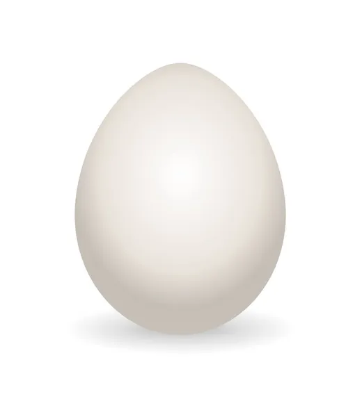 Whole egg. Realistic chicken egg with not broken eggshell. Design element of fragile egg — Stock Vector