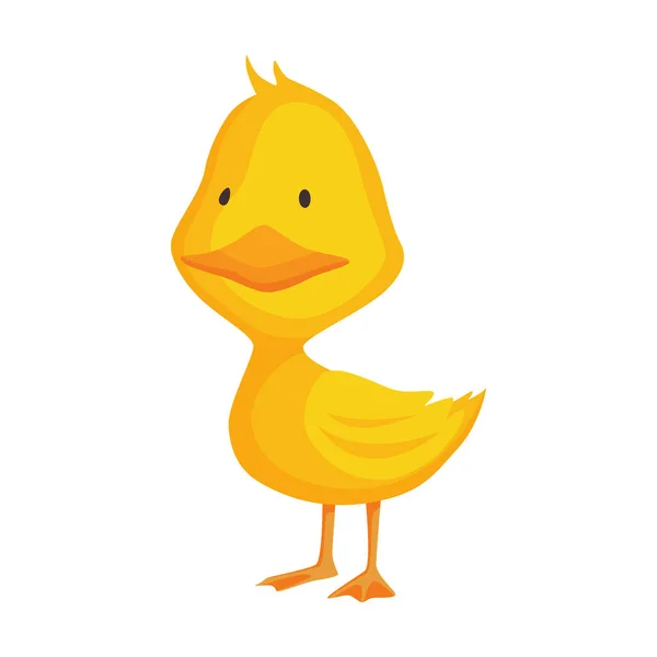 Słodka laska. Kreskówkowa żółta kaczka wektorowa. Ptaszek postać dziecka w zabawnym wyrazie twarzy, poza i gest do projektowania graficznego — Wektor stockowy
