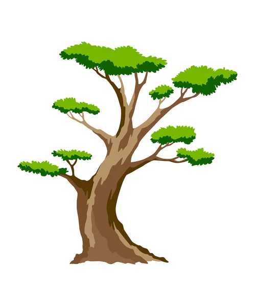 Δέντρο. Οικολογική έννοια του φυτού. Διάνυσμα επίπεδη πράσινο εικονίδιο δέντρο ακακία απομονώνονται σε λευκό φόντο. Βοτανικό στοιχείο κήπου — Διανυσματικό Αρχείο
