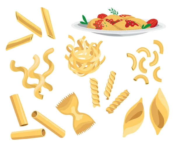 Pasta verschillende soorten set. Italiaanse voedselcollectie. Restaurant heerlijke menu illustratie. Droge noedels en rauw macaroni assortiment. Italiaanse keuken, tarwemeel producten in verschillende vormen — Stockvector