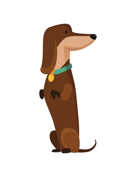 Hundedackel. Nettes lustiges Charakterporträt. Kurzbeiniges Haustier mit langem Körper steht auf zwei. Entzückende Cartoon-Vektorillustration — Stockvektor