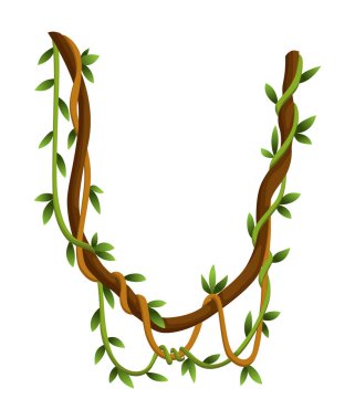 Çarpık yaban lianası dalları afişi. Orman asması bitkileri. Yağmur ormanları ve egzotik botanik. Woody doğal dalları