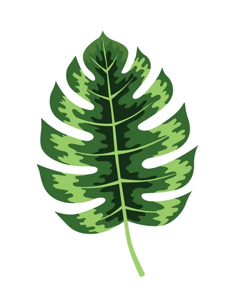 Тропические листья растения. Экзотическая листва. Зеленые декоративные джунгли. Векторный ручной рисунок — стоковый вектор