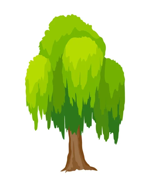 Árbol. Concepto ecológico de planta natural. Vector icono de árbol de sauce verde plano aislado sobre fondo blanco. Elemento botánico de jardín — Vector de stock