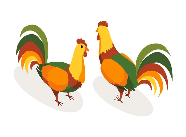 Farm animal isometric. Domestic animal in 3d flat back and front view. Cute game character of rooster. Vector icon — Wektor stockowy