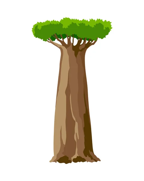 Árbol. Concepto ecológico de planta natural. Icono de árbol de baobab verde plano vectorial aislado sobre fondo blanco. Elemento botánico de jardín — Vector de stock