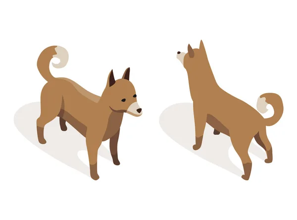 Nutztiere isometrisch. Haustier in 3D flache Rück- und Vorderansicht. Nettes Spiel Charakter des Hundes. Vektorsymbol — Stockvektor