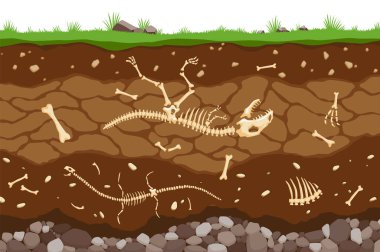 Kemikli toprak katmanları. Sürüngenlerin fosil iskeletleriyle toprağın yüzeyindeki ufuk çizgileri. Toprak yapısının üst katmanında organik madde ve taşlar var. Paleontolojik arkaplan