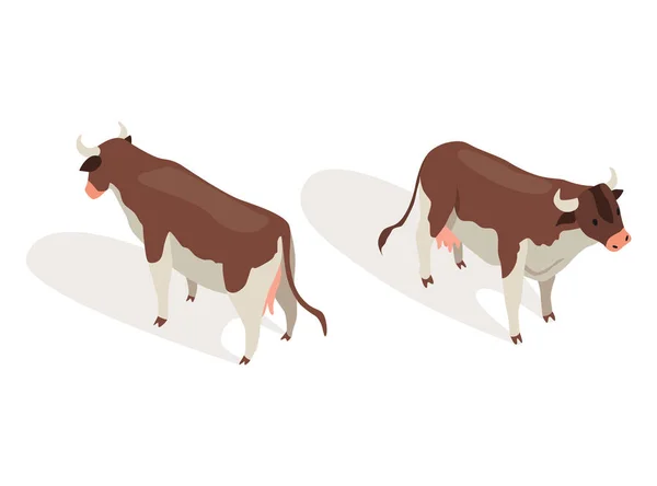 Ισόμετρο ζώο φάρμας. Κατοικίδια ζώα σε 3d επίπεδη πίσω και μπροστά άποψη. Χαριτωμένο παιχνίδι χαρακτήρα της αγελάδας. Εικονίδιο διανύσματος — Διανυσματικό Αρχείο