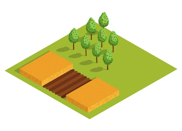 Granja rural isométrica. Cultivar árboles frutales y un campo con una cosecha de trigo u otros cereales. Icono vectorial que representa el elemento rural — Vector de stock