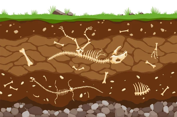 Bodenschichten mit Knochen. Oberflächliche Horizonte der Erde mit dem fossilen Skelett von Reptilien. Obere Schicht der Erdstruktur mit einem Gemisch aus organischer Materie und Steinen. Paläontologischer Hintergrund — Stockvektor