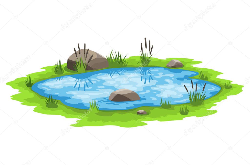 Picturesque natural pond. Blue water pond with reeds and stones. Concept of outdoor scene. Open small swamp lake. Countryside landscape
