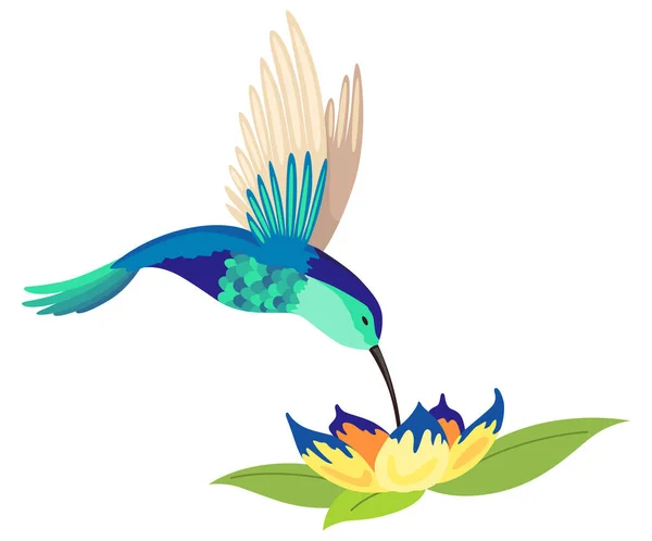 Sinek kuşu. Beyaz arka planda izole edilmiş çiçekli çok renkli uçan tropikal kobri. Çiçeklerin üzerinde uçan parlak cennet kuşunun vektör çizimi — Stok Vektör