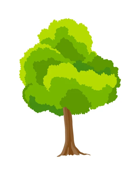 Árbol. Concepto ecológico de planta natural. Icono de árbol de arce verde plano vectorial aislado sobre fondo blanco. Elemento botánico de jardín — Vector de stock