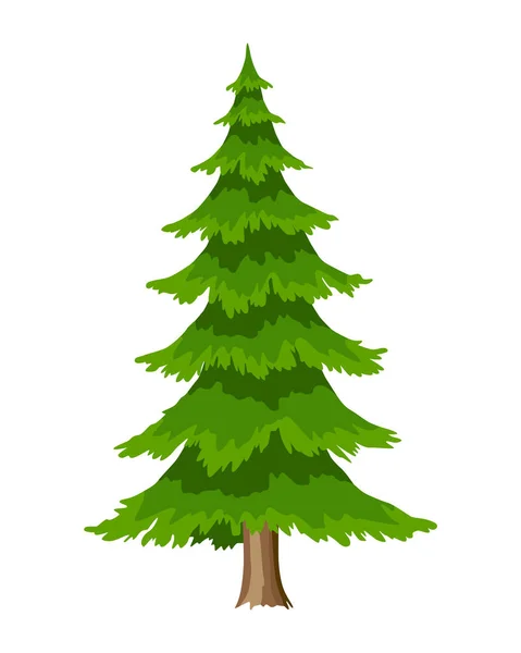 Tree. Eco concept of nature plant. Vector flat spruce evergreen coniferous tree icon isolated on white background. Garden botanical element — Vetor de Stock