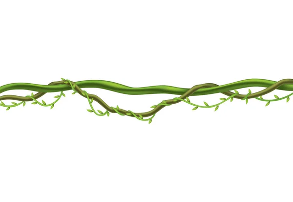 Граница ствола Лианы. Лучшая зеленая лоза или растение, висящее на ветке. Мультяшный джунгли ползучий. Тропическое растение — стоковый вектор