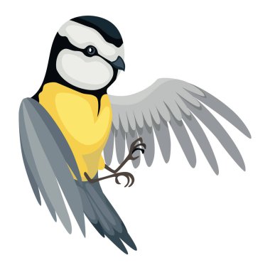 Tit bird in flying position. Titmouse in cartoon flat style beautiful character. Vector illustration isolated on white background.