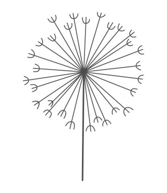 Siyah çizgili karahindiba çiçeği. Doğa çiçekli el, pofuduk tohum çiçeğinin dekoratif çiçek açan siluetini çizdi. Kalem çizilmiş tek renkli tasarım ögesi.