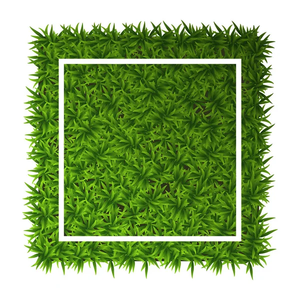 Green Grass Square Ground Cover Plants Background Texture Design Card — Stock Vector