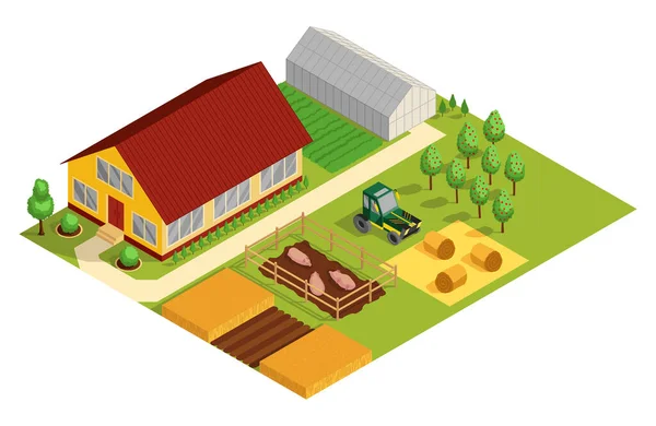 Isometric Rural Farm Building Cottage Agricultural Machinery Garden Domestic Animals — Archivo Imágenes Vectoriales