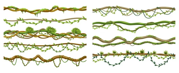 Lianas Stems Border Set Rainforest Green Vines Twisted Plant Hanging — Stockový vektor