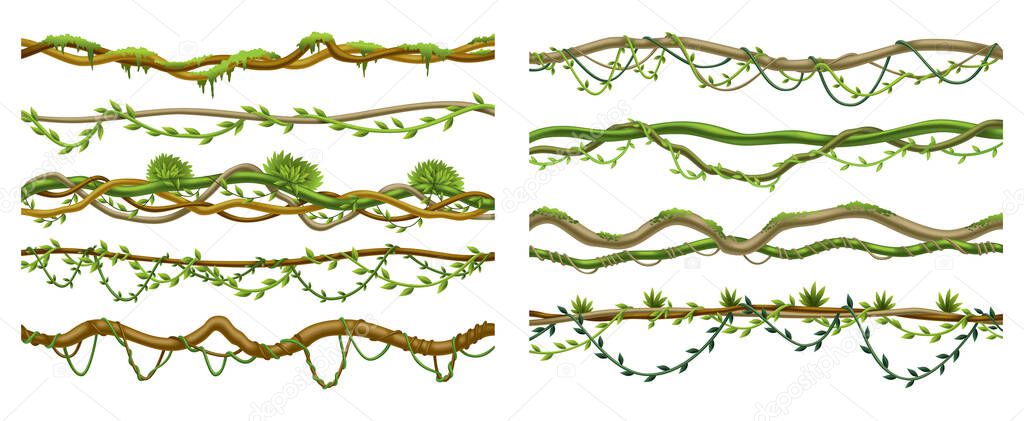 Lianas stems border set. Rainforest green vines or twisted plant hanging on branch. Cartoon jungle creeper branches, leaves and moss on tree. Vector isolated game scenery elements.