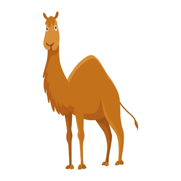Καμήλα Μία Καμπούρα Έρημο Ζώο Στέκεται Στο Πλάι Φορέα Κινουμένων — Διανυσματικό Αρχείο