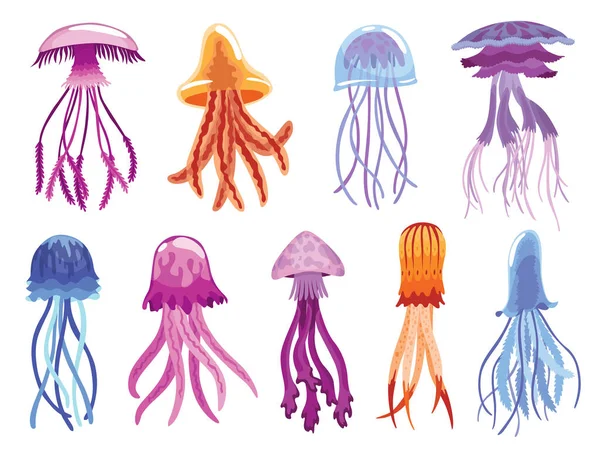 Jellyfish Collection Sea Wildlife Ocean Fauna Concept Aquatic Underwater Undersea — Stockvector