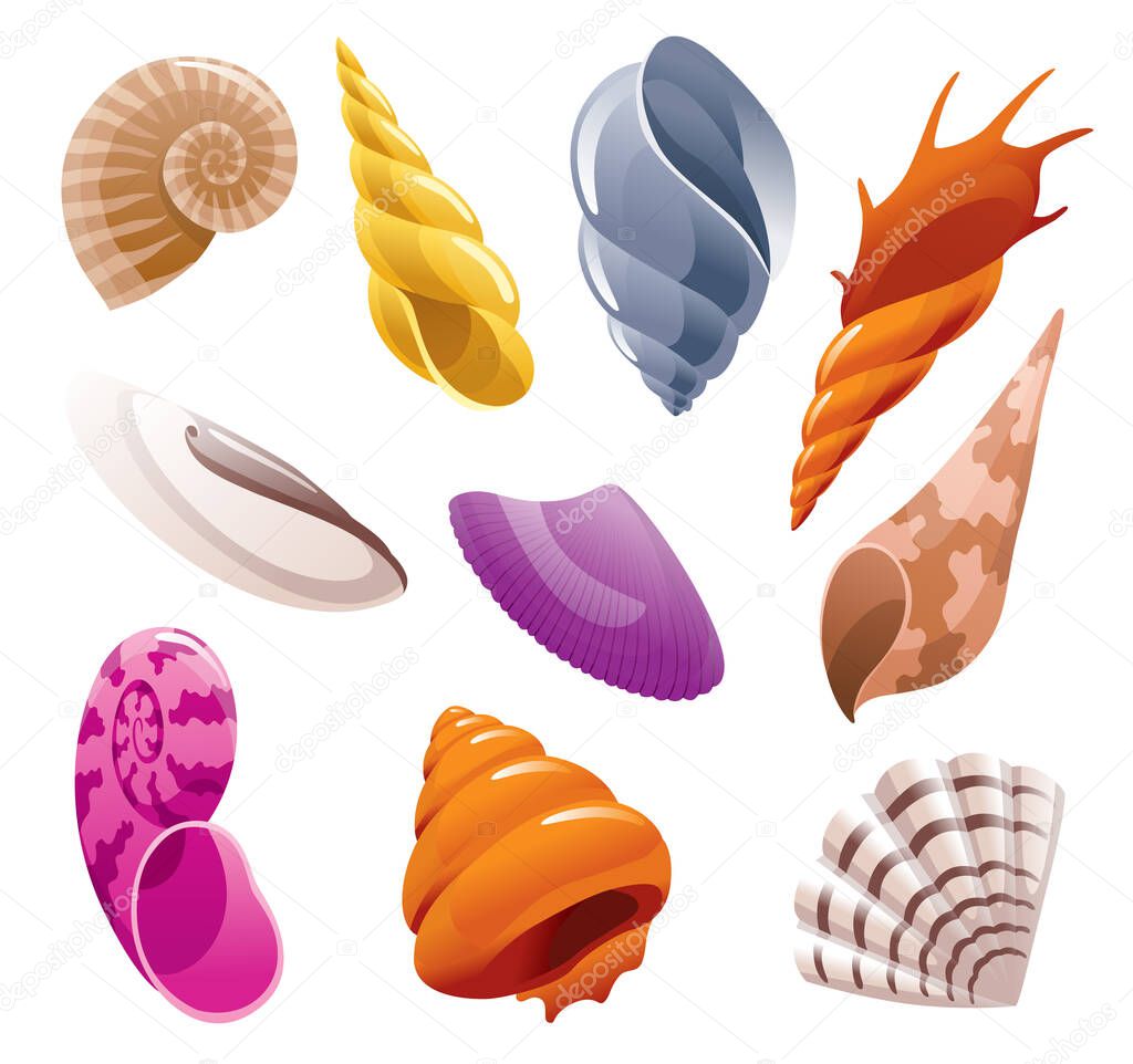 Set of sea shells. Colorful tropical shell underwater icons. Cartoon marine life. Summer symbol concept with seashells.