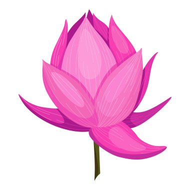 Lotus. Pembe çiçek. Reklam ya da davetiye için kök ve yapraklar. Çiçek, tomurcuk açılışı, bir su bitkisi. 3 boyutlu tasarım. Tasarım için izole nesneler.