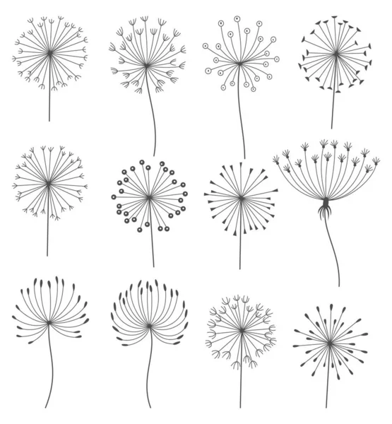 Dandelion Flowers Set Black Linear Style Nature Floral Hand Drawn — ストックベクタ