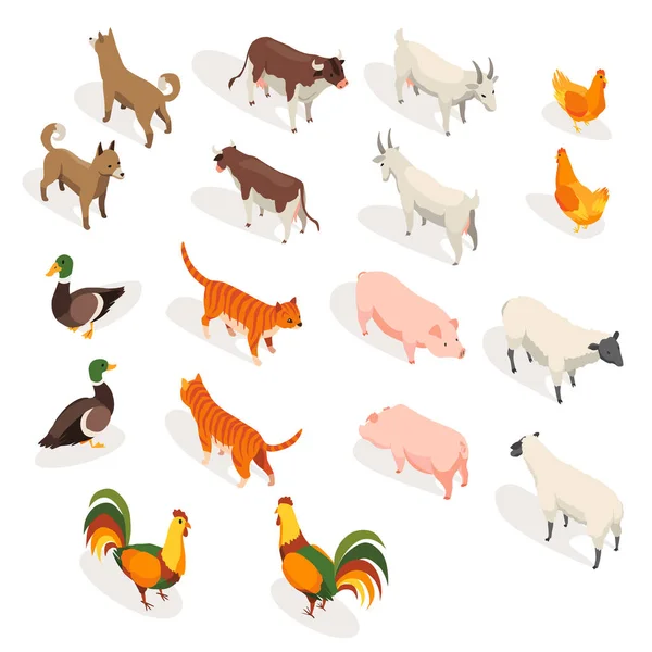 Farm Animals Isometric Set Domestic Animals Flat Back Front View — Vector de stock