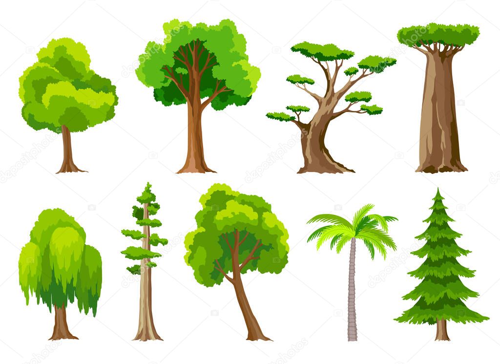 Trees collection. Eco concept of nature plant. Vector flat green forest tree icons. Willow, oak, acacia, baobab, pine, spruce, palm isolated on white background. Garden botanical elements.
