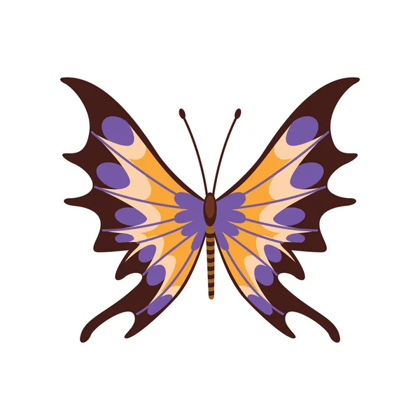 Exotische Farbe Schmetterling Handgezeichnete Mottenflügel Oder Insekten Karikaturen Tropischer Tiere — Stockvektor