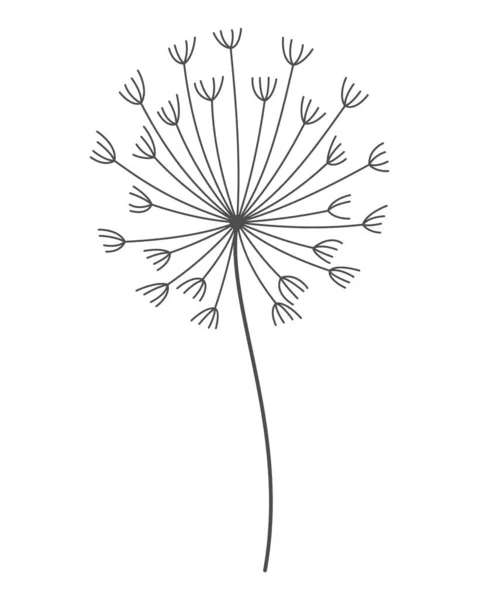 Dandelion Flower Nature Floral Hand Drawn Stylized Decorative Blooming Silhouette — Stockový vektor