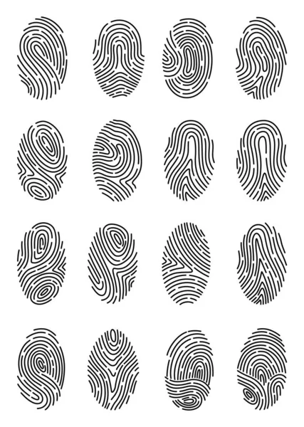 Fingerprint Identification Collection Scan Fingerprint Security Identification System Concepts Biometric – Stock-vektor