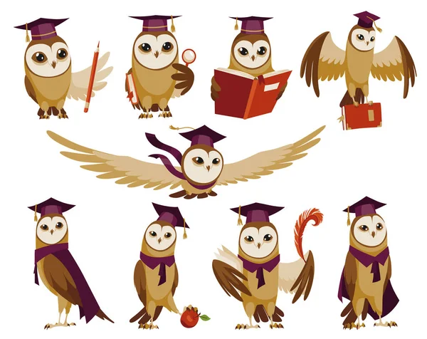 Owls Wearing Graduation Caps Cute Wise Owls Hats Symbols Wisdom —  Vetores de Stock