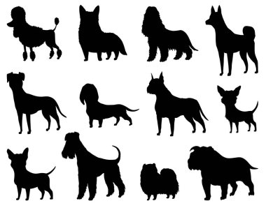 Dogs silhouette set of different breeds. Side view pet stand icon in black color. Make used for dog show, competition, pet store, guide dog. Domestic animal isolated on white background.