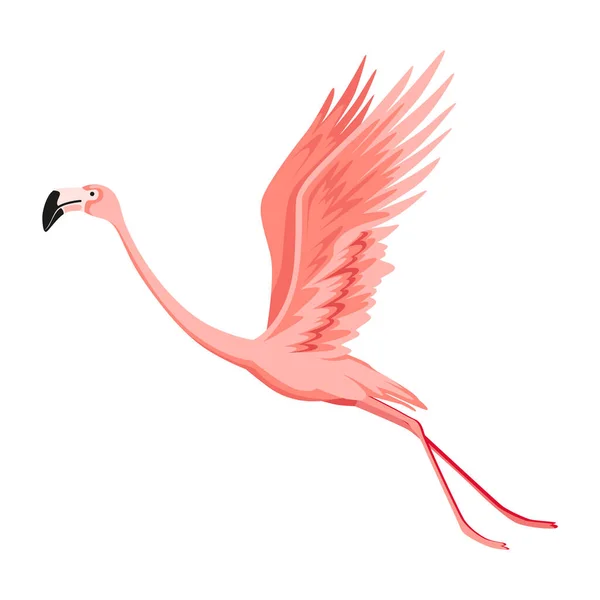 Pink Flamingo Exotic Tropical Bird Character Isolated Wildlife Animal Nature — Vetor de Stock