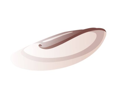 Deniz kabuğu. Renkli tropikal kabuklu su altı ikonu. Çizgi film deniz yaşamı. Deniz kabuğu yaz sembolü kavramı.