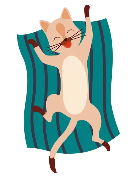 嘟嘟的猫 可爱有趣的宠物病媒图片 卡通猫咪角色的设计 可敬的动物睡眠 — 图库矢量图片